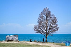 Qinghai Lake