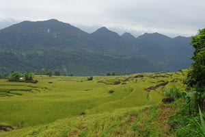 Nam Ha National Bio-Diversity Conservation Area