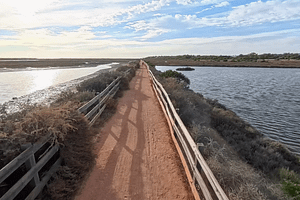 Cycle Path through the Swamps